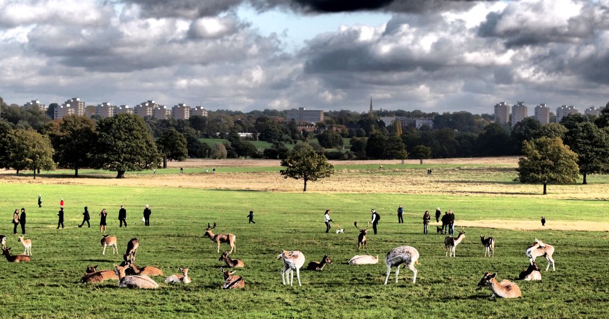 Richmond Park