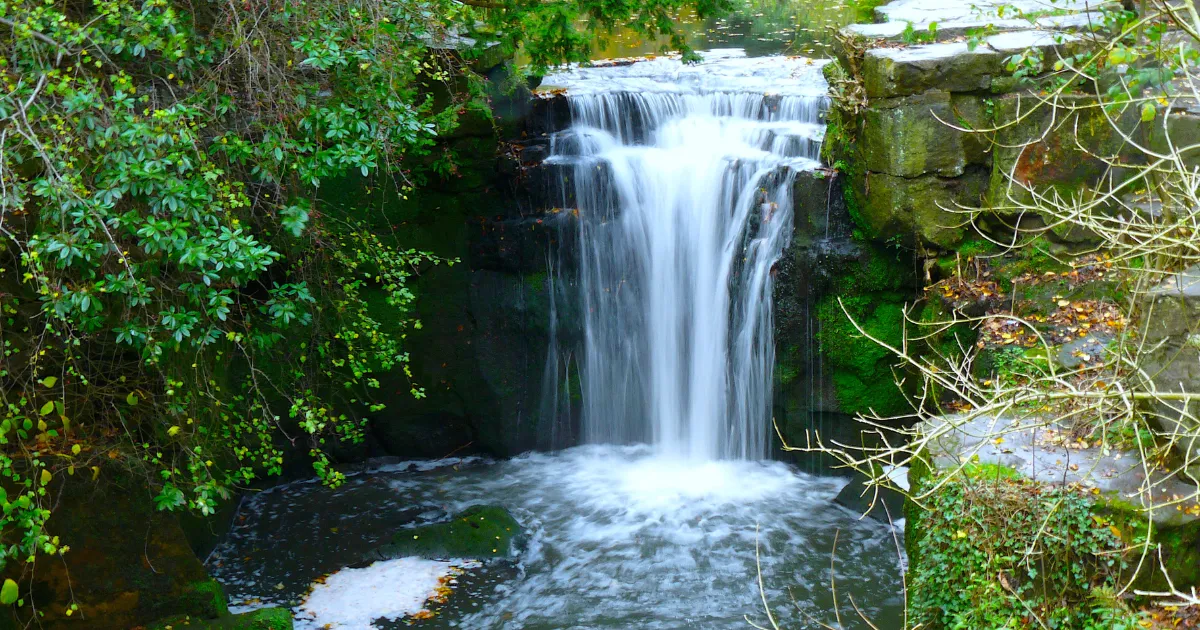 Visit the beautiful area of Jesmond, in Newcastle.