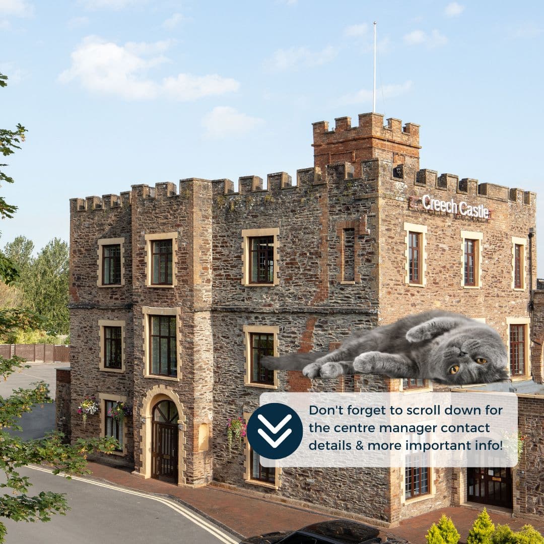 Creech Castle, Taunton