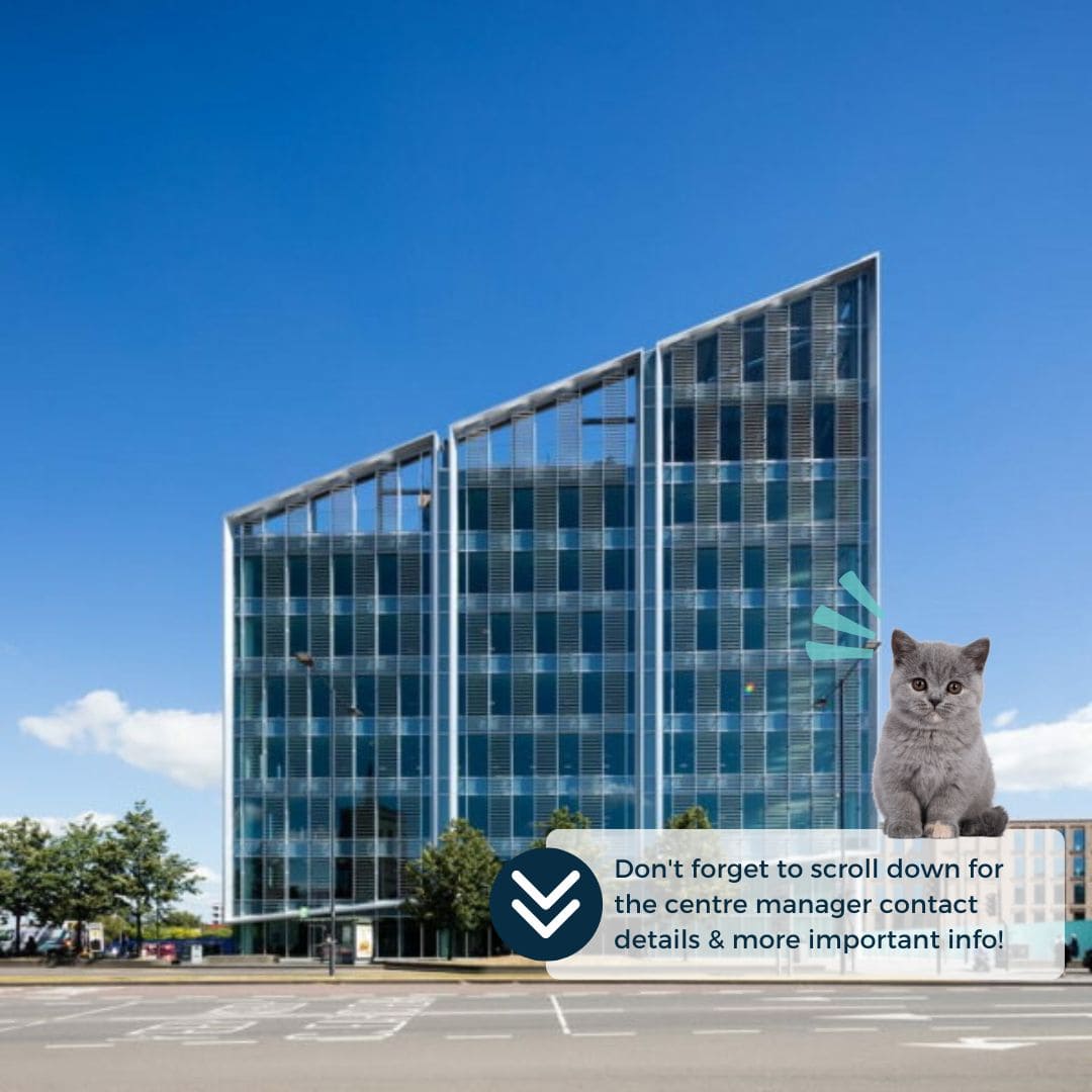 Scroll down template (20)