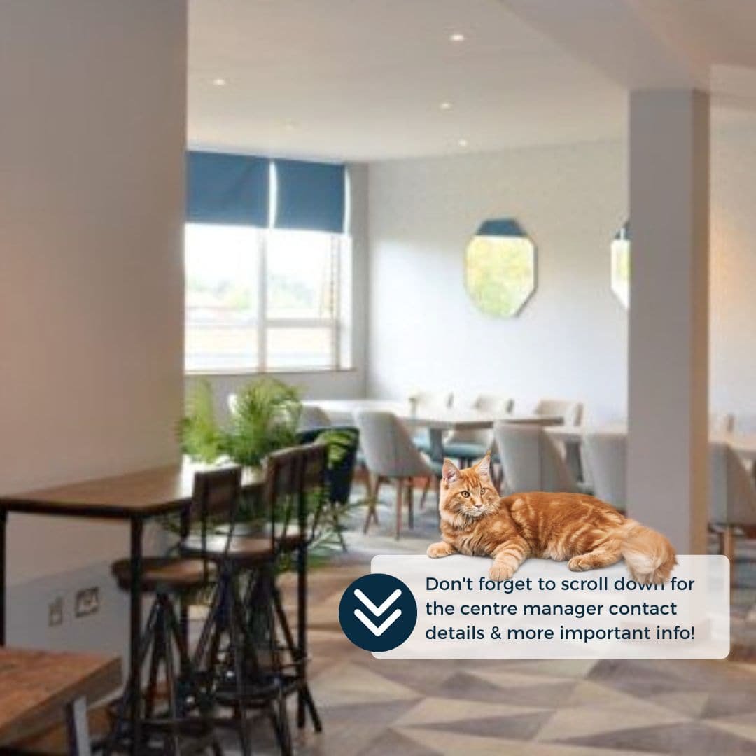 Scroll down template (39)