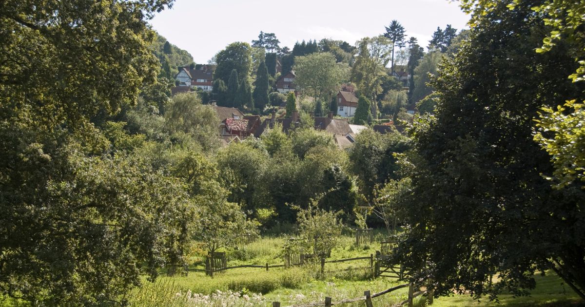 Haslemere, Surrey.