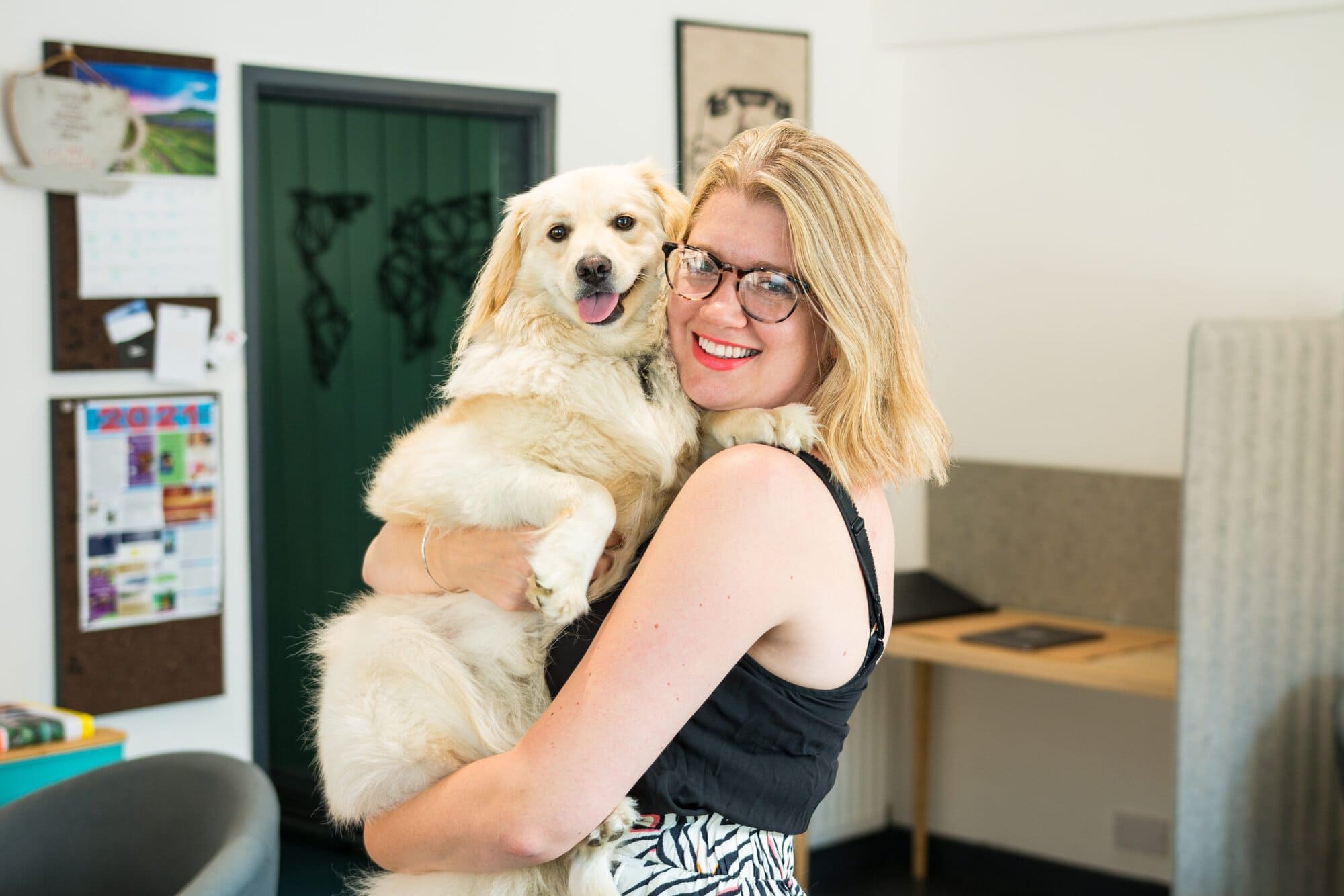 Dog friendly office spaces